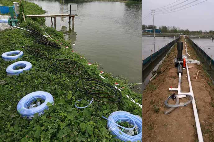 水產養(yǎng)殖供氧曝氣羅茨風機